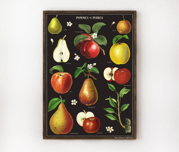Cavallini & Co. Poster - Apples & Pears Vintage Wall Print Lifestyle
