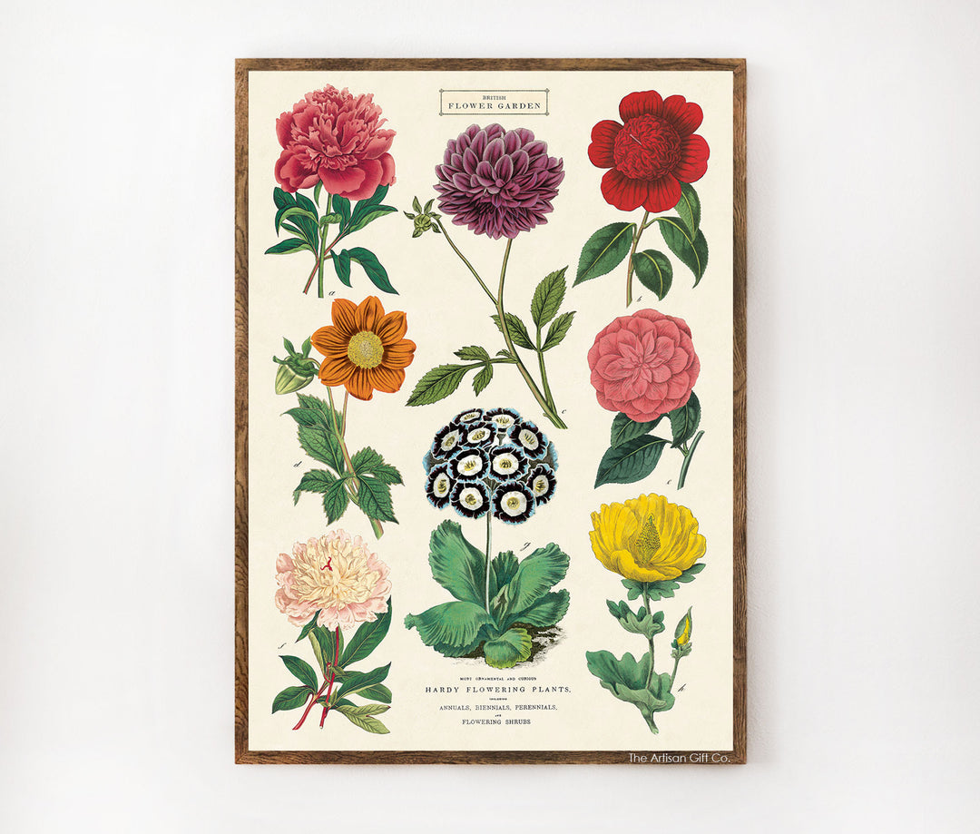 Cavallini & Co. Poster - Botanica 2 Vintage Wall Print Lifestyle