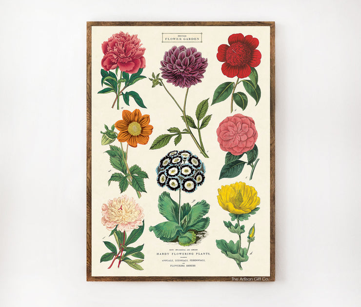 Cavallini & Co. Poster - Botanica 2 Vintage Wall Print Lifestyle
