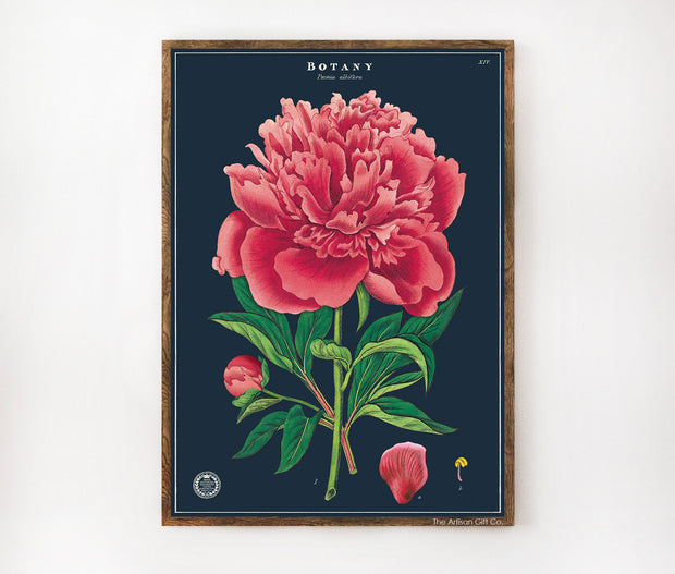 Cavallini & Co. Poster - Botany Vintage Wall Print