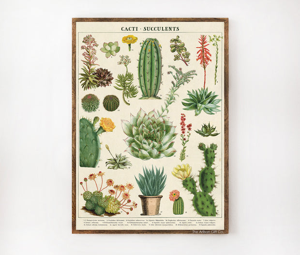 Cavallini & Co. Poster - Cacti & Succulents Vintage Wall Print