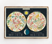 Cavallini & Co. Poster - Constellations Vintage Wall Print
