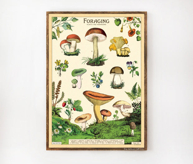 Cavallini & Co. Poster - Foraging Mushrooms Vintage Wall Print