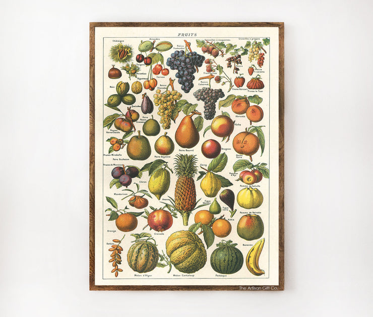 Cavallini & Co. Poster - Fruit Vintage Wall Print Lifestyle