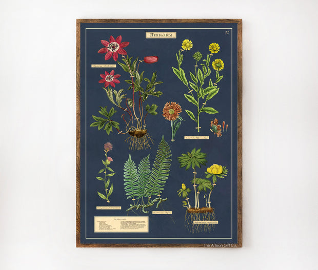 Cavallini & Co. Poster - Herbarium Vintage Wall Print