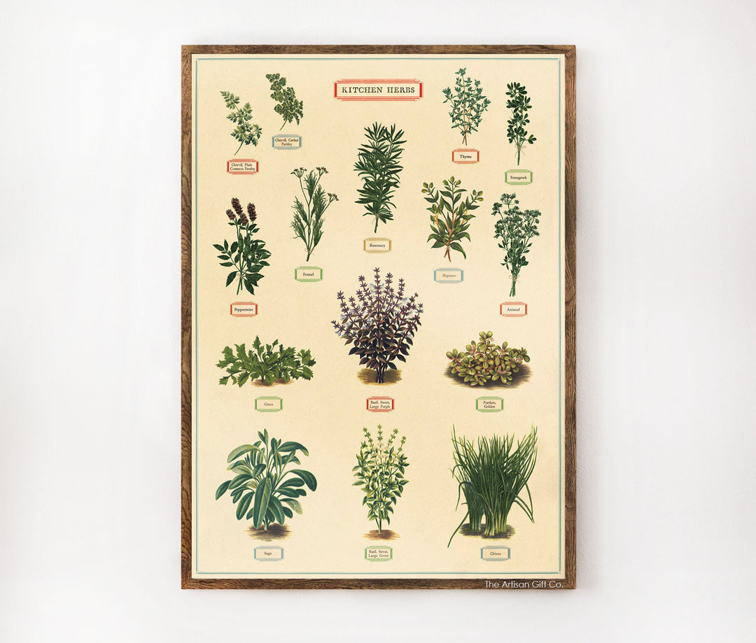 Cavallini & Co. Poster - Kitchen Herbs Vintage Wall Print Lifestyle