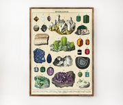 Cavallini & Co. Poster - Mineralogie Vintage Wall Print