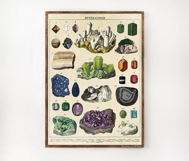 Cavallini & Co. Poster - Mineralogie Vintage Wall Print