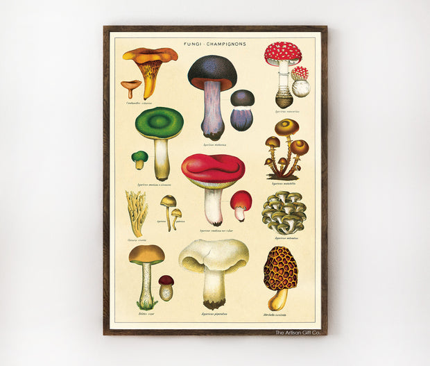 Cavallini & Co. Poster - Mushrooms 2 Vintage Wall Print Lifestyle