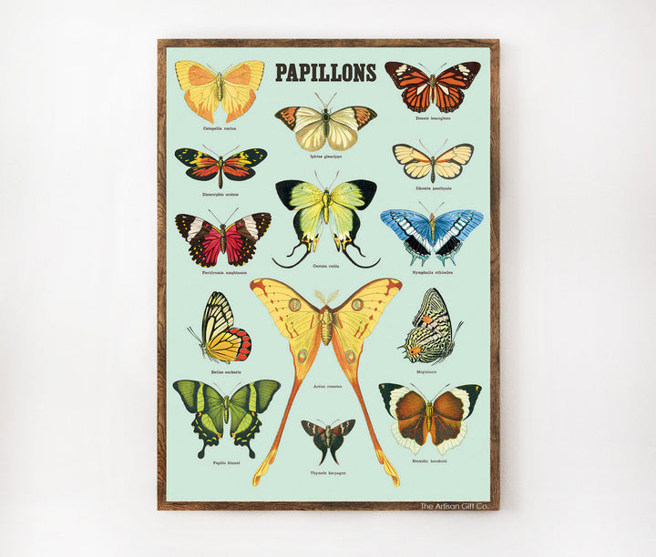 Cavallini & Co. Poster - Papillons Vintage Wall Print