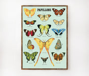 Cavallini & Co. Poster - Papillons Vintage Wall Print