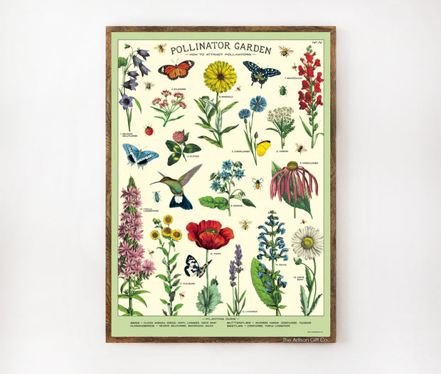 Cavallini & Co. Poster - Pollinator Garden Vintage Wall Print