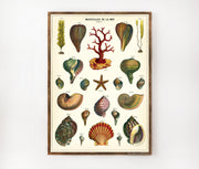 Cavallini & Co. Poster - Merveilles de la Mer Vintage Wall Print Lifestyle
