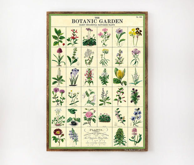 Cavallini & Co. Poster - Botanic Garden Vintage Wall Print