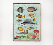 Cavallini & Co. Poster - Tropical Fish Vintage Wall Print Lifestyle