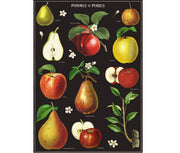 Cavallini & Co. Poster - Apples & Pears Vintage Wall Print