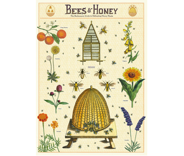 Cavallini & Co. Poster - Bees & Honey Vintage Wall Print
