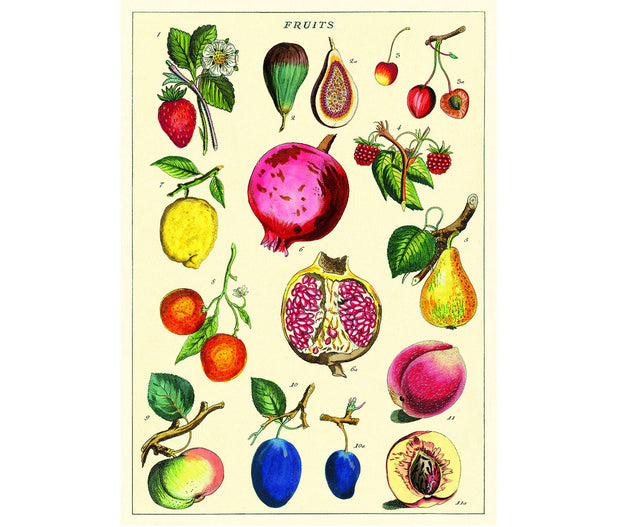 Cavallini & Co. Poster - Fruit 2 Vintage Wall Print
