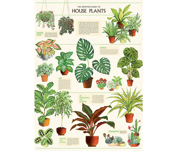 Cavallini House Plants Print